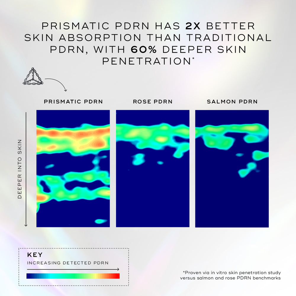A graphic comparing skin penetration levels of different PDRN types using heatmap scans. The title states Prismatic PDRN represents 2x greater skin absorption than traditional PDRN, with 60% deeper penetration. The heatmap for "PDRN PRISMATIQUE" shows significantly more red and orange (high detection) reaching deeper into the skin compared to the "PDRN DE ROSE" and "PDRN DE SAUMON" scans.