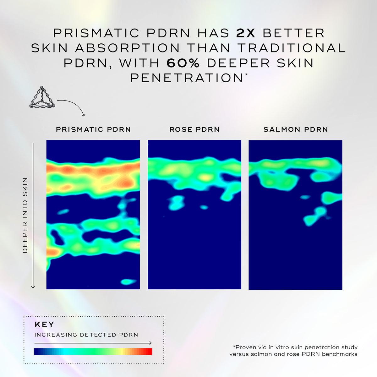 A graphic comparing skin penetration levels of different PDRN types using heatmap scans. The title states Prismatic PDRN represents 2x greater skin absorption than traditional PDRN, with 60% deeper penetration. The heatmap for "PDRN PRISMATIQUE" shows significantly more red and orange (high detection) reaching deeper into the skin compared to the "PDRN DE ROSE" and "PDRN DE SAUMON" scans.